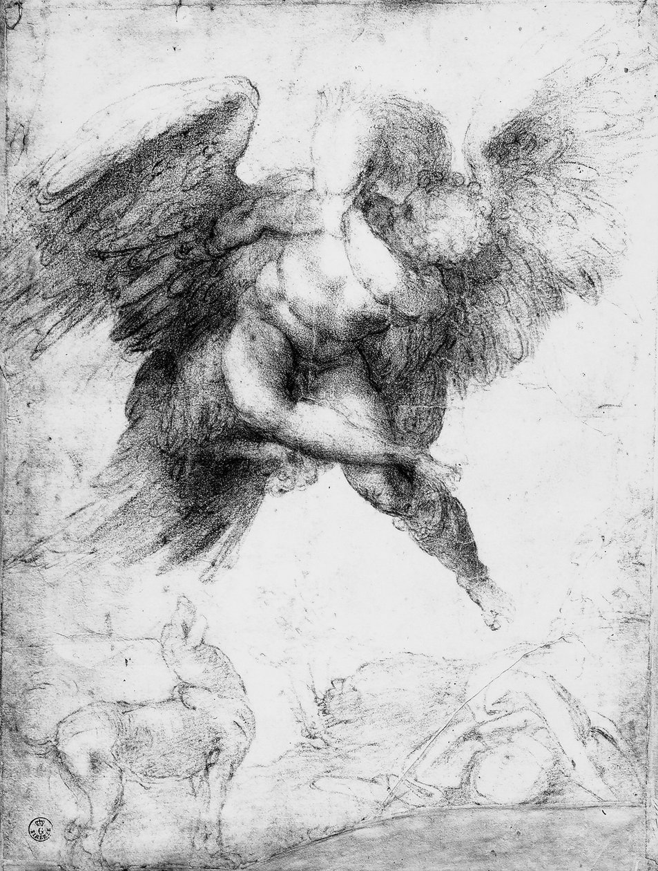 Ganymeden raiskaus (punainen liitu paperille) tekijältä Michelangelo Buonarroti