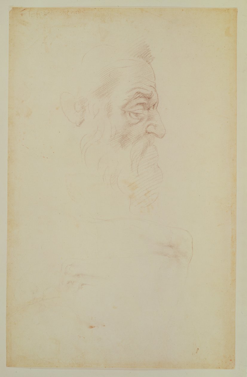 Luonnos miehen päästä ja kahdesta jalasta (hiili paperille) tekijältä Michelangelo Buonarroti