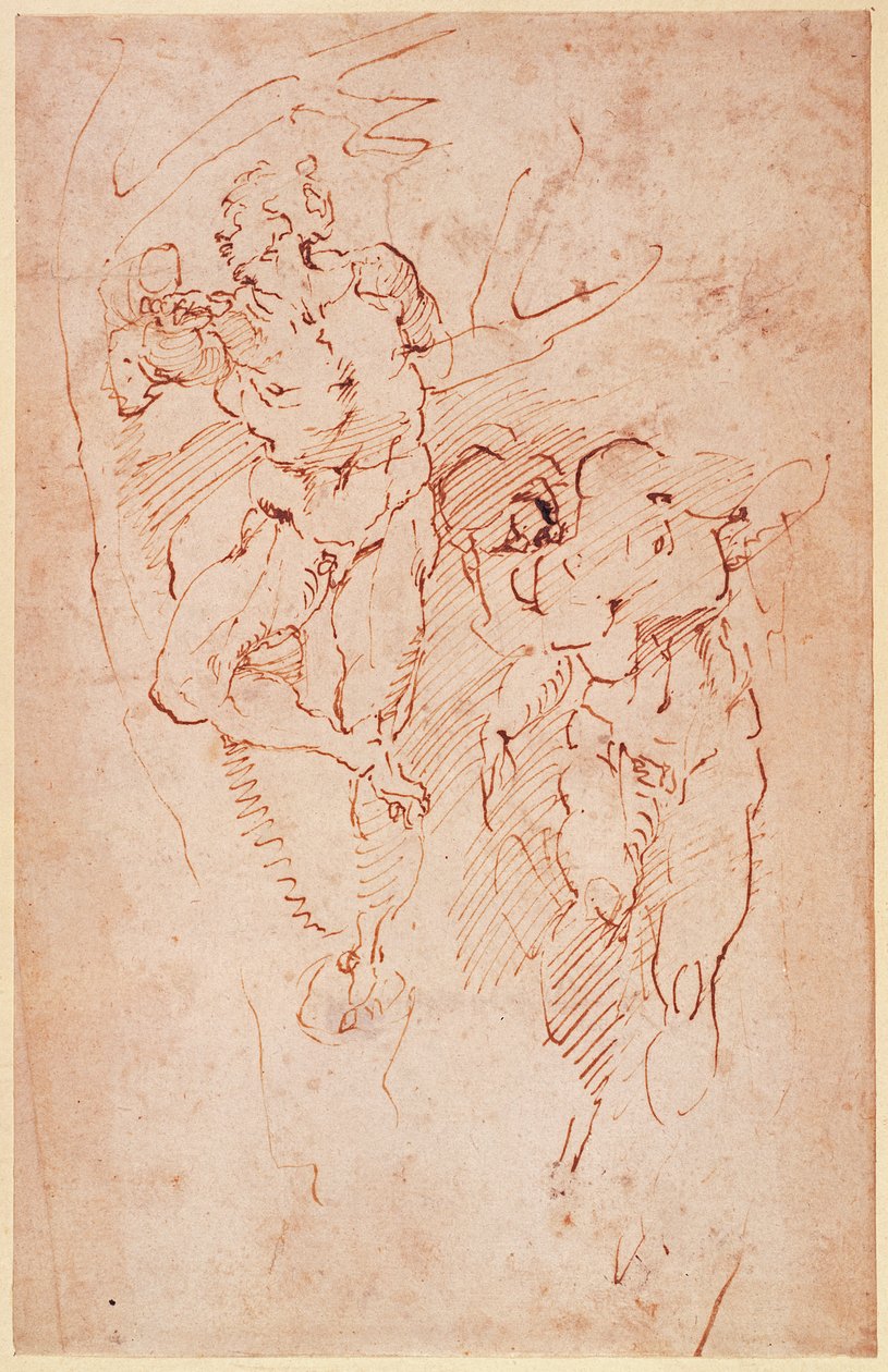 Miesalaston tutkimukset tekijältä Michelangelo Buonarroti
