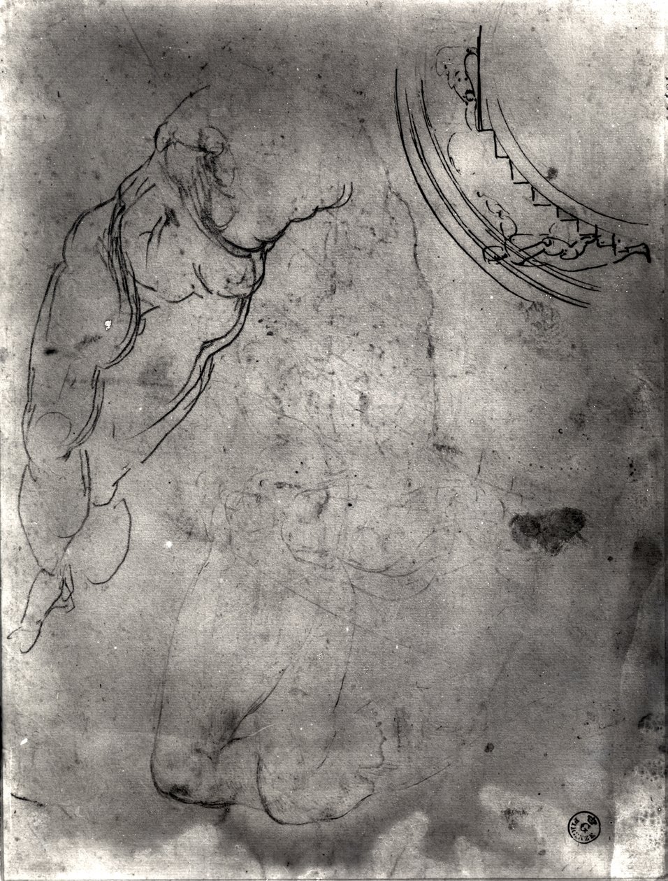 Tutkimus miesalastosta (kynä ja muste ja kynä paperille) tekijältä Michelangelo Buonarroti