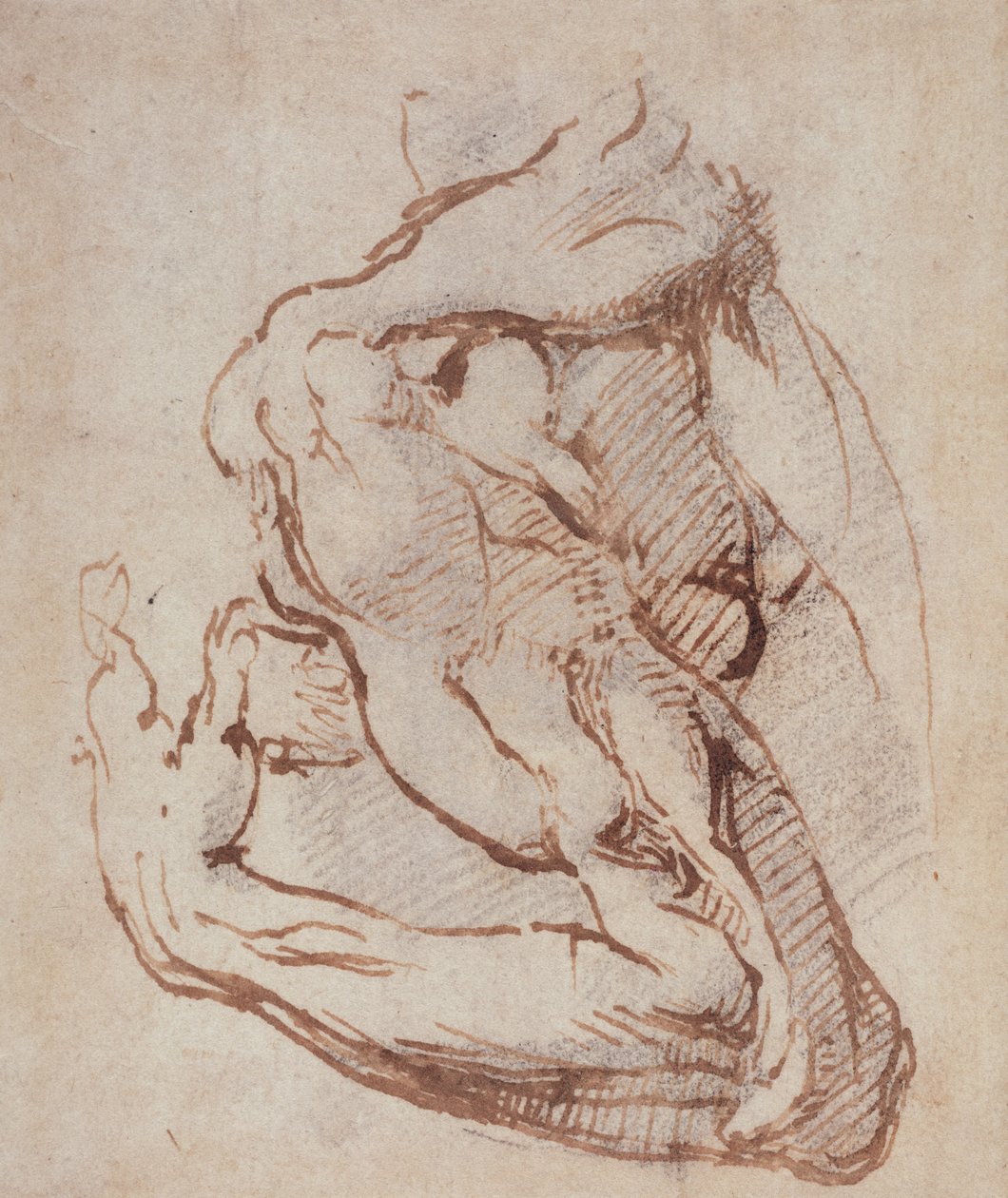 Tutkimus käsivarresta (muste) Inv.1859514819 (W.49) tekijältä Michelangelo Buonarroti