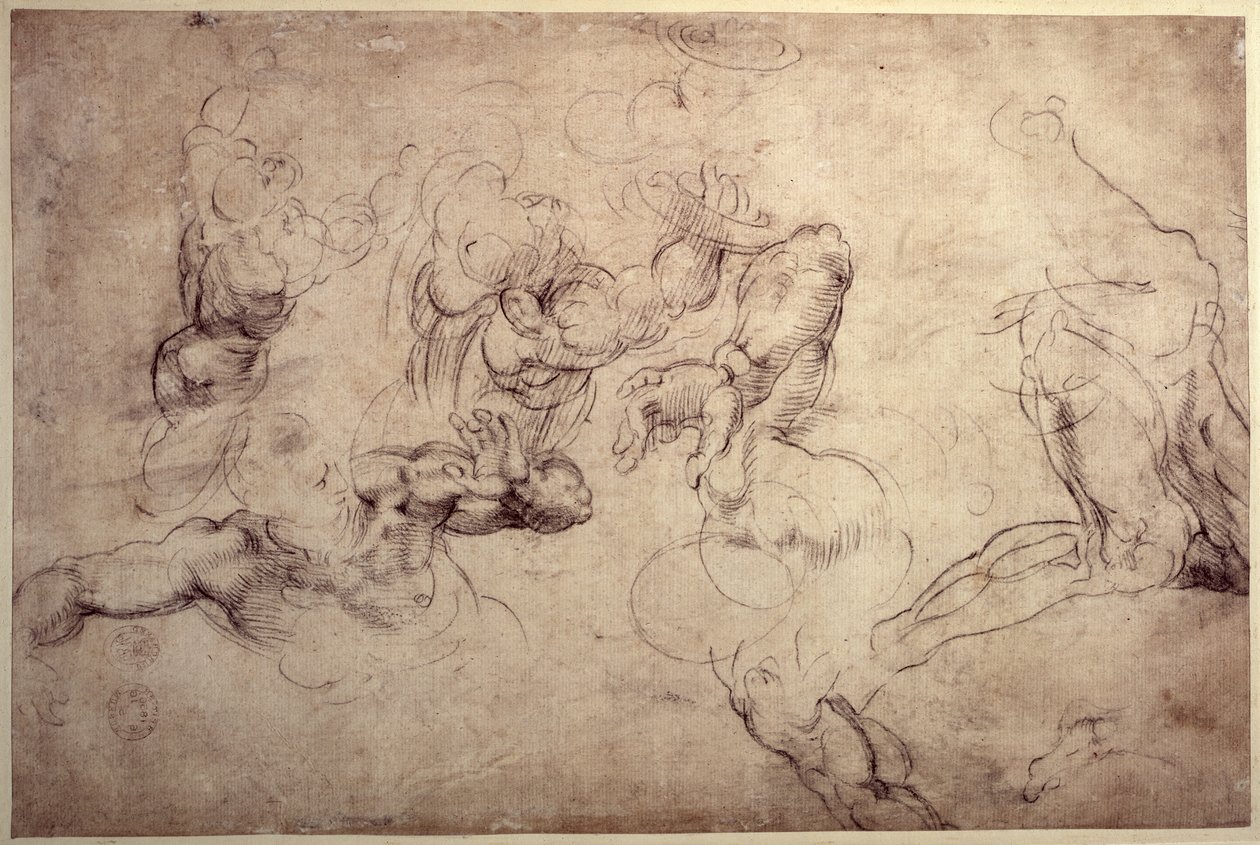 W.61v Mieshahmon tutkimukset tekijältä Michelangelo Buonarroti
