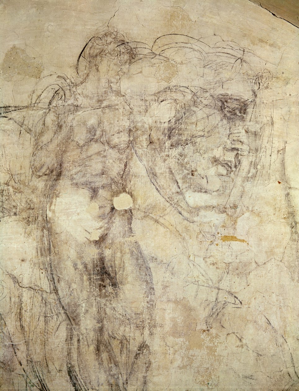 Naishahmon ja pään seinäpiirros, noin 1530 (hiili kipsille). tekijältä Michelangelo Buonarroti