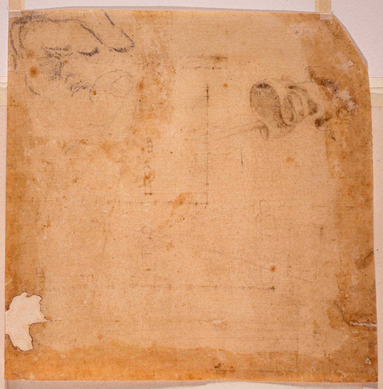Näkökulmatutkimukset ja bannerit tekijältä Michelangelo (after) Buonarroti