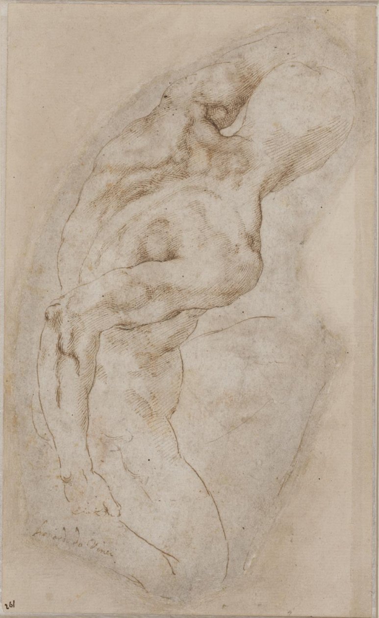 Polvistuva nuoriso takaa katsottuna tekijältä Michelangelo Buonarroti