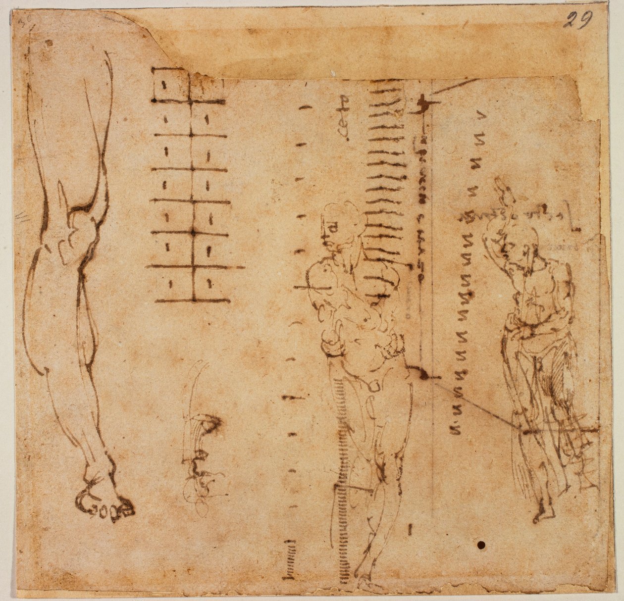 Kuva tutkimukset tekijältä Michelangelo Buonarroti