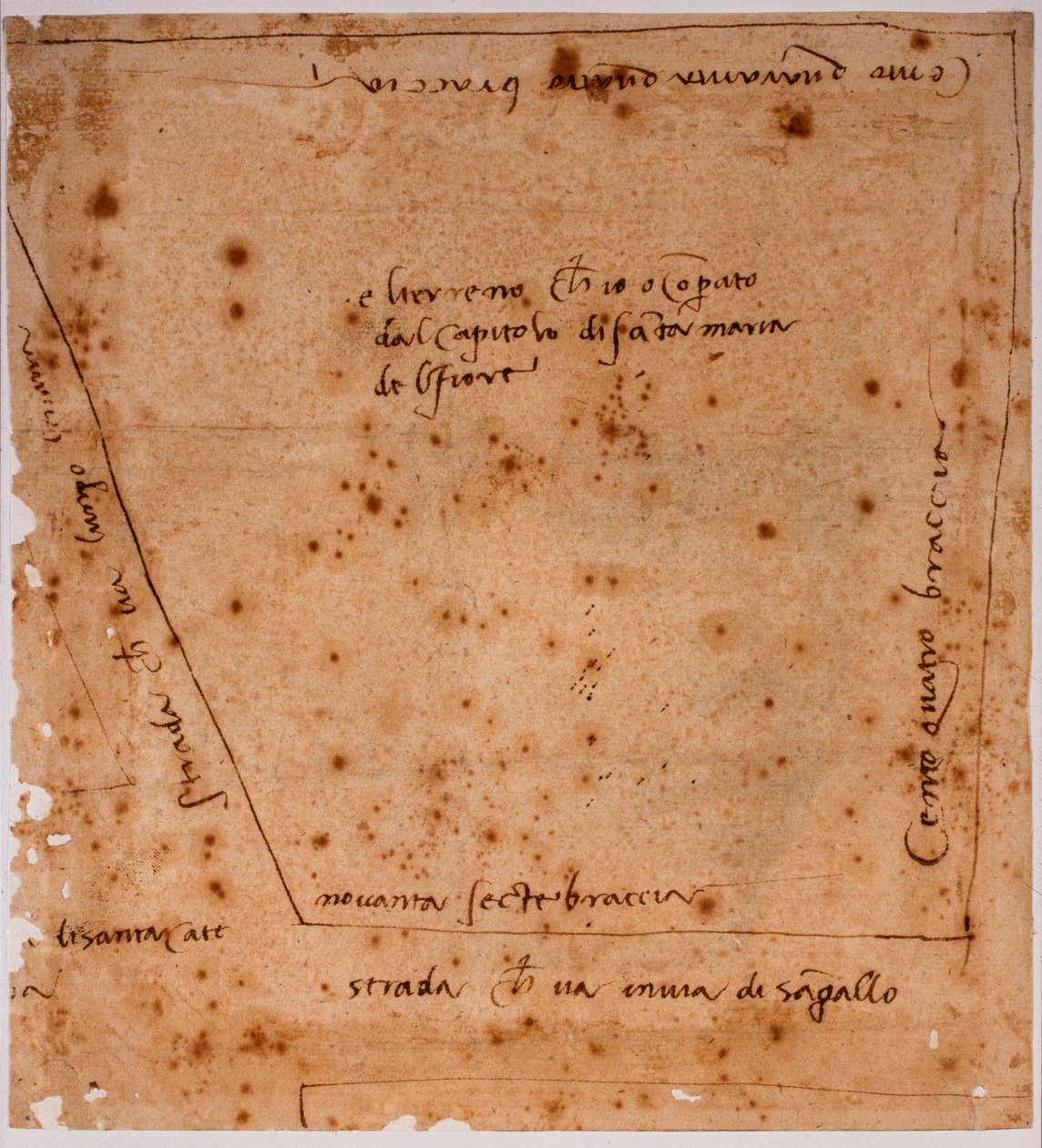Pohjapiirros tekijältä Michelangelo Buonarroti