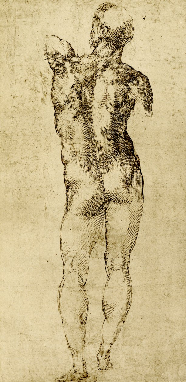 Mies alasti tekijältä Michelangelo Buonarroti