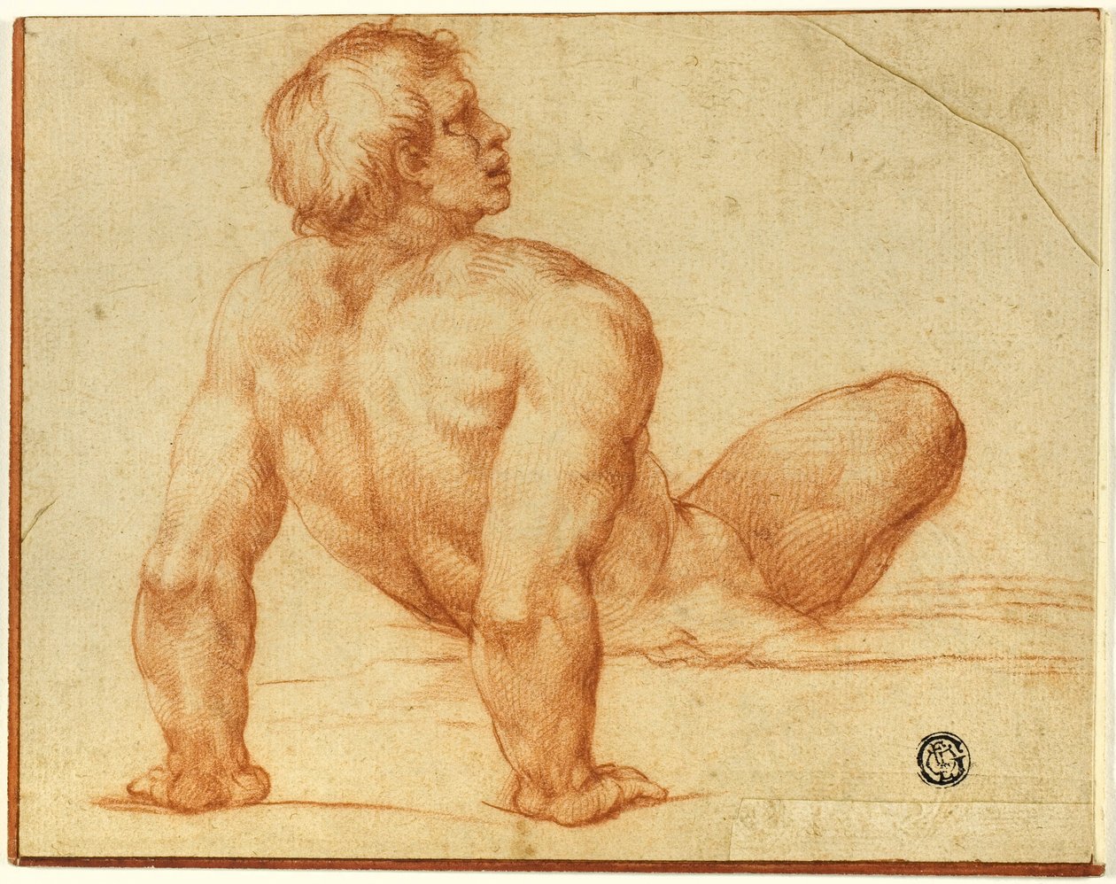 Nudefinnish masculí assegut tekijältä Michelangelo Buonarroti