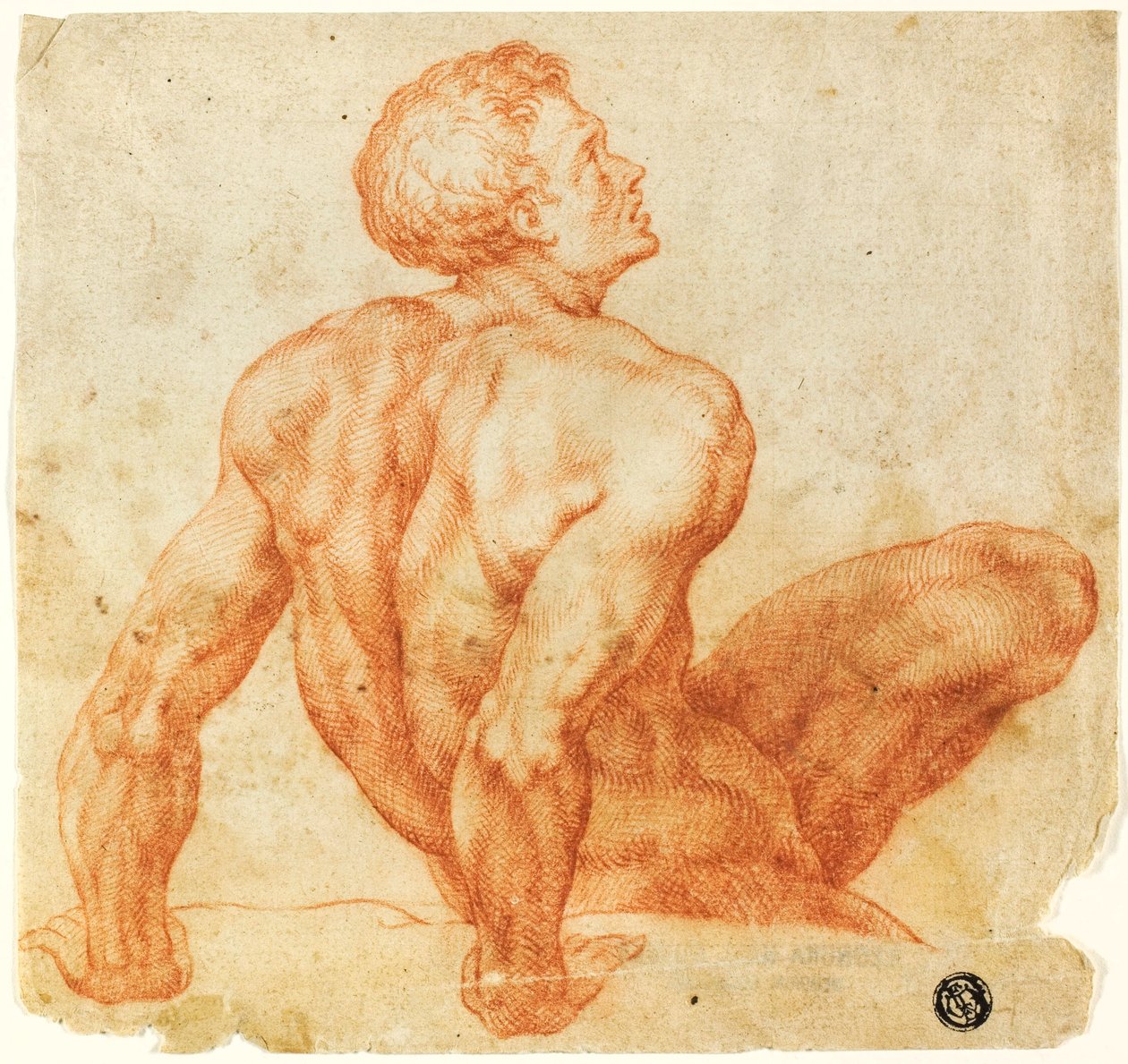 Istuva alaston mies tekijältä Michelangelo Buonarroti
