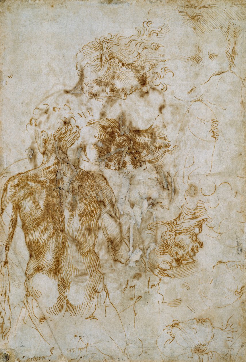 Various Figure Studies, c1490-1560 tekijältä Michelangelo Buonarroti