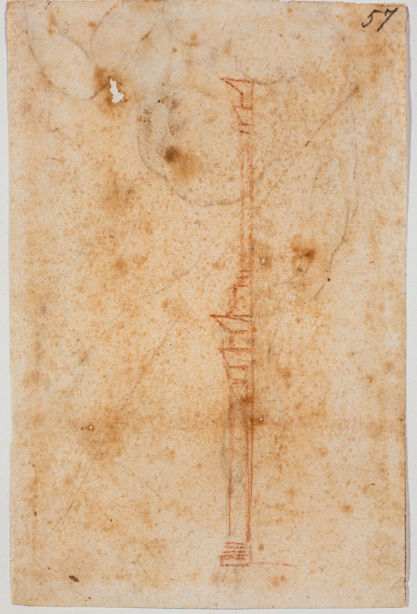 Seinäprofiili tekijältä Michelangelo Buonarroti