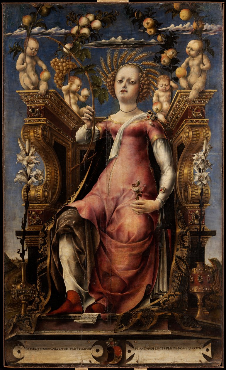 Muse Thalia, noin 1457. tekijältä Michele Pannonio