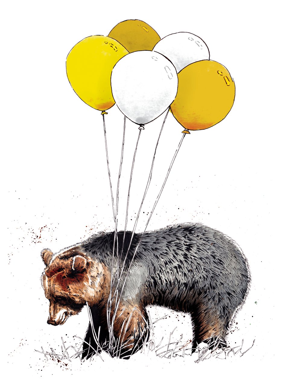 Syntymäpäiväkarhu valkoisella, 2020 tekijältä Mike Davis