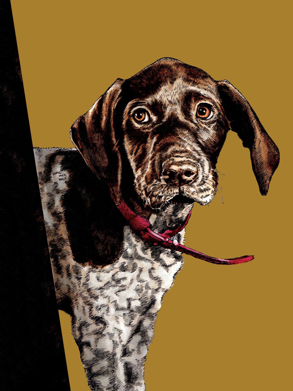 Bye Bye Puppy Golden Yellowissa, 2020 tekijältä Mike Davis
