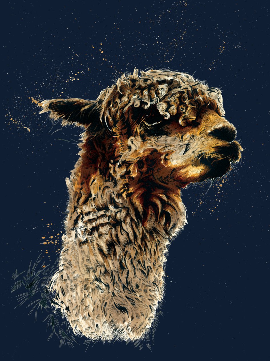 The Alpaca on Midnight Blue, 2020 tekijältä Mike Davis