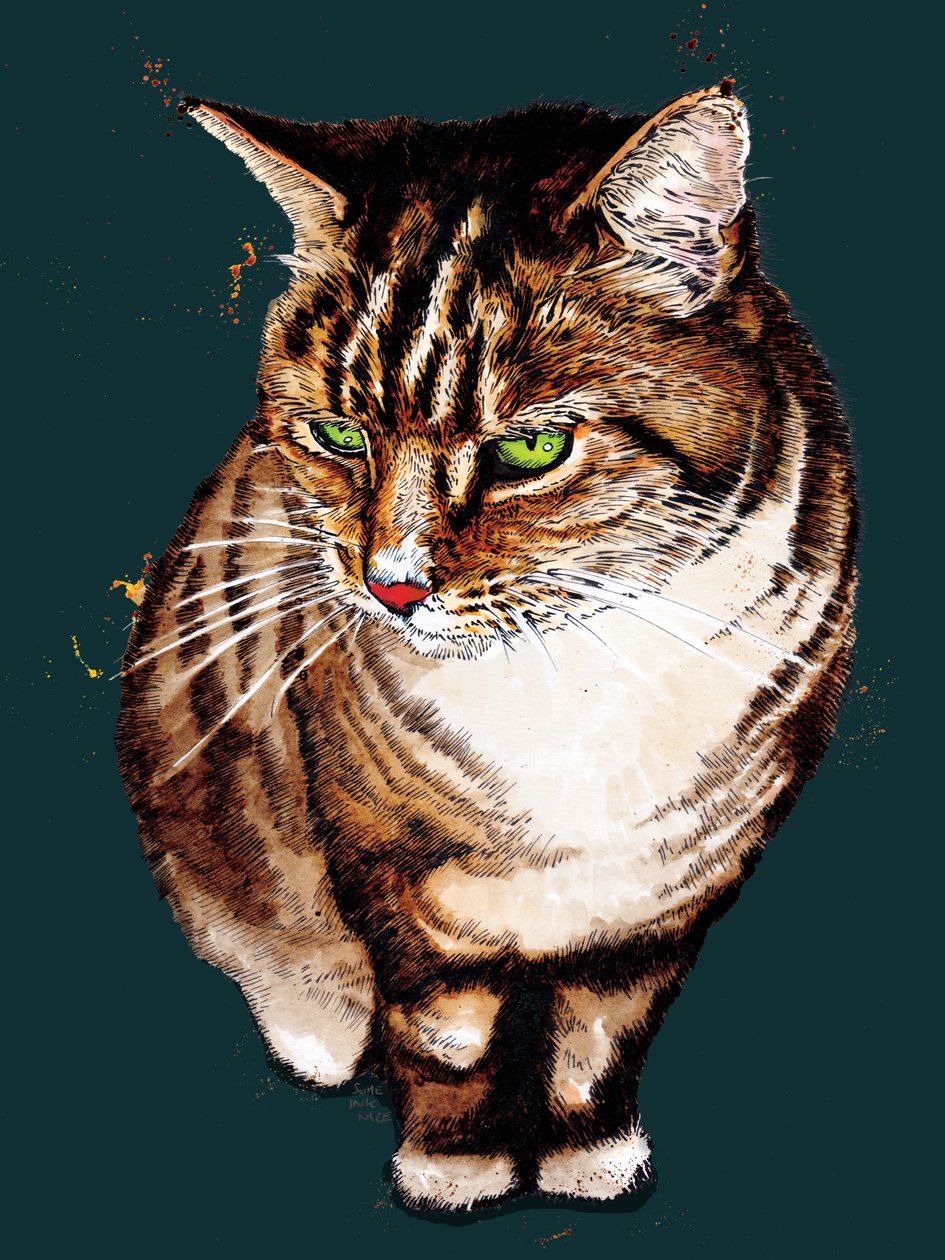 The Tabby Cat on Deep Cyan, 2020 tekijältä Mike Davis