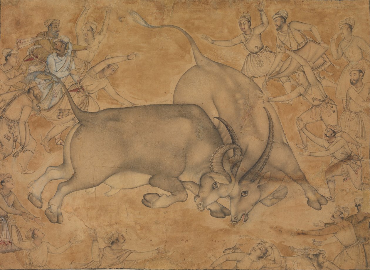 Buffaloes in Combat, 1500-luvun loppu. tekijältä Miskin.