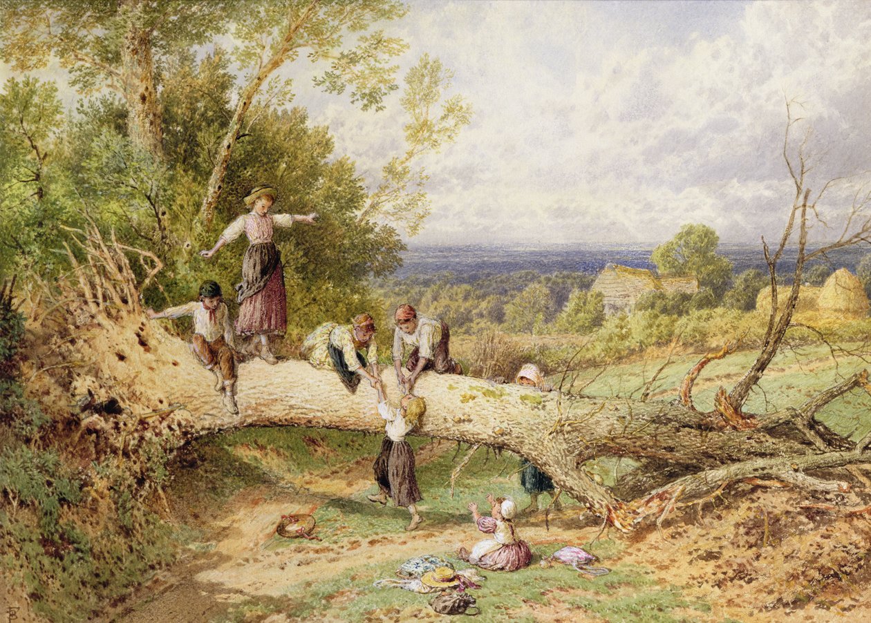 Peliaika tekijältä Myles Birket Foster