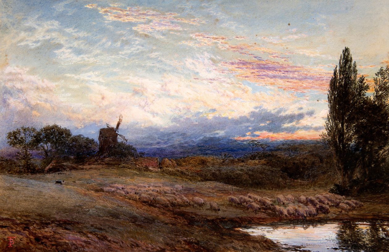 Lammas kastelee auringonlaskun aikaan (akvarelli) tekijältä Myles Birket Foster