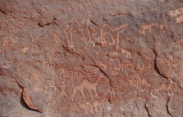 Petroglyfit kallion puolelta (kalliomaalaus) tekijältä Nabatean