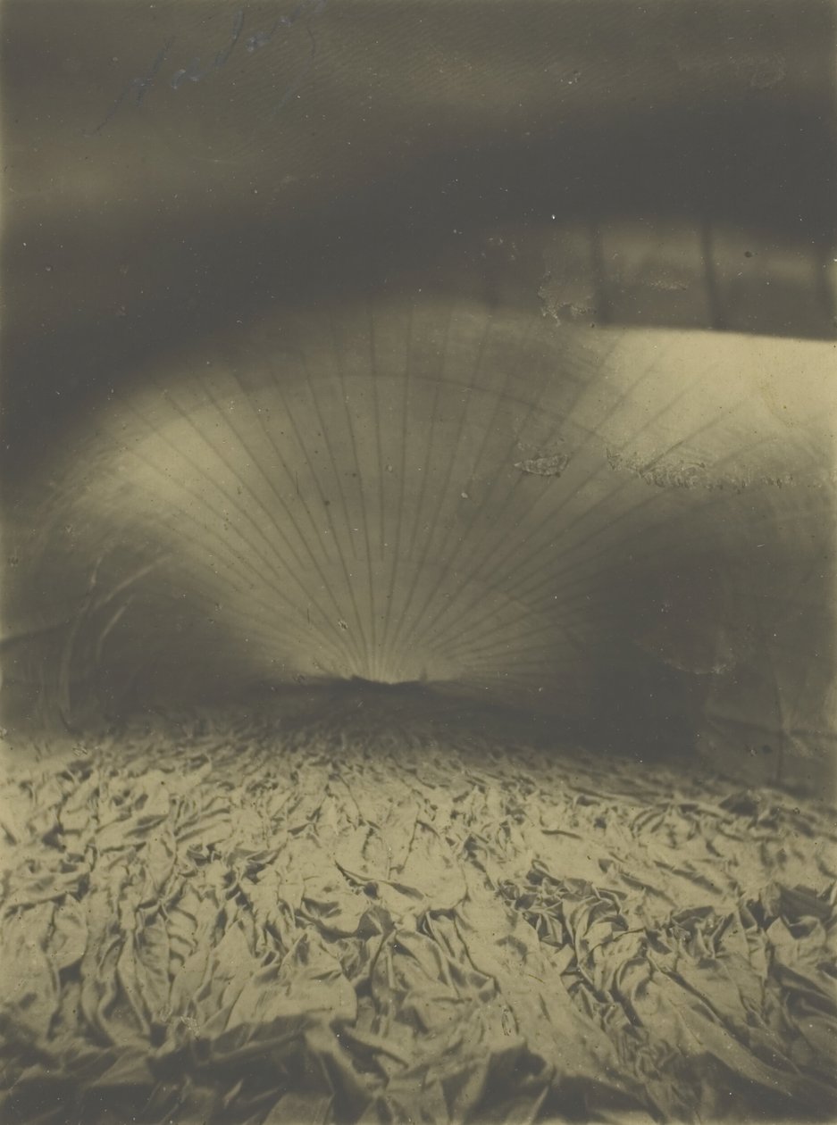 Le Géant Inflatingin sisustus, 1863. tekijältä Nadar