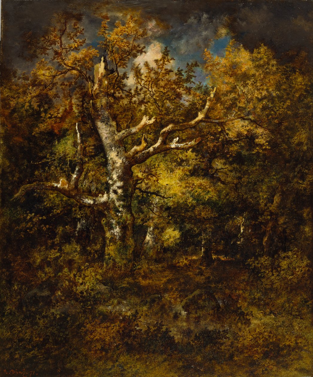 Fontainebleaun metsä, syksy, 1871 tekijältä Narcisse Virgile Diaz de la Peña