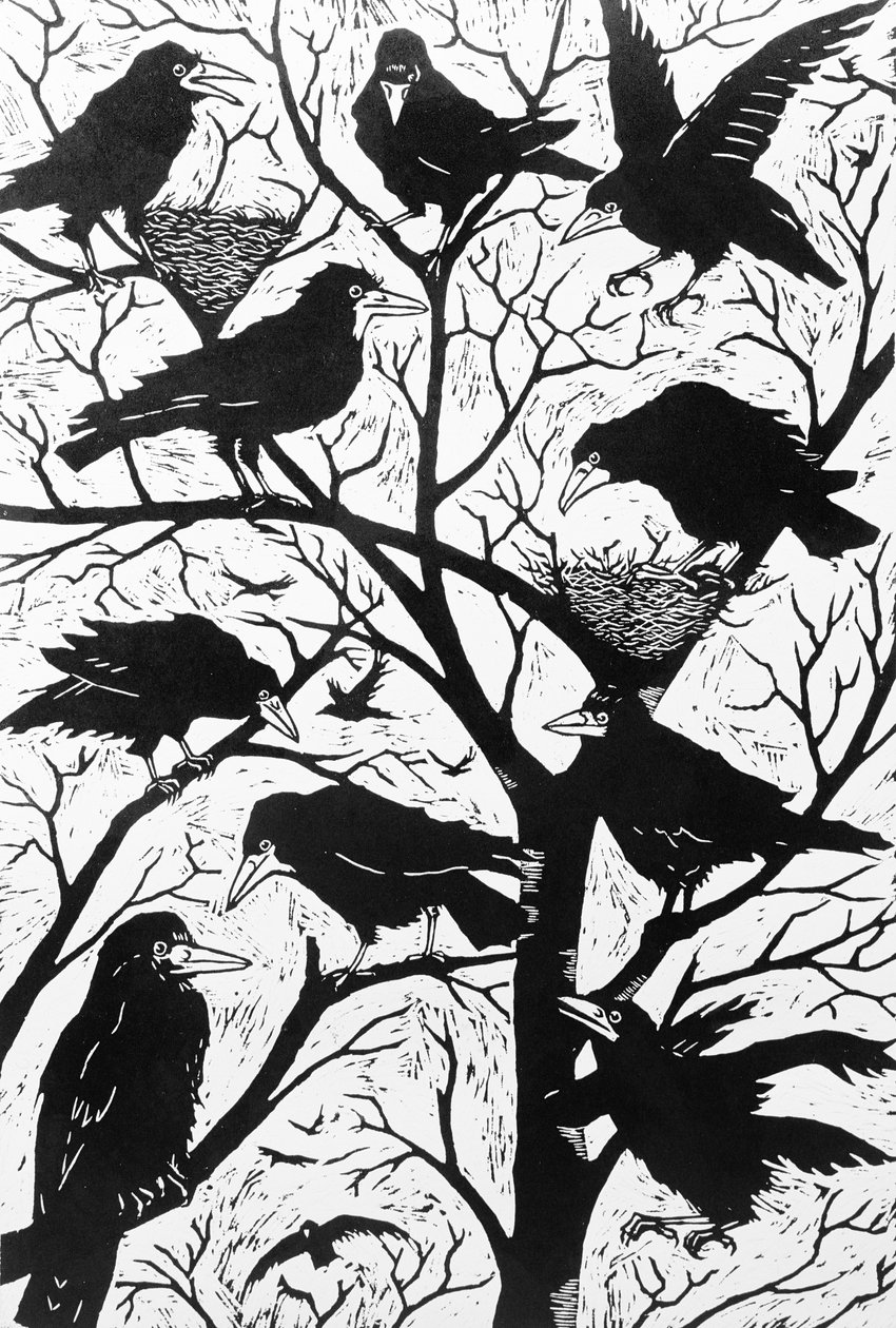 Rooks, 1998 tekijältä Nat Morley