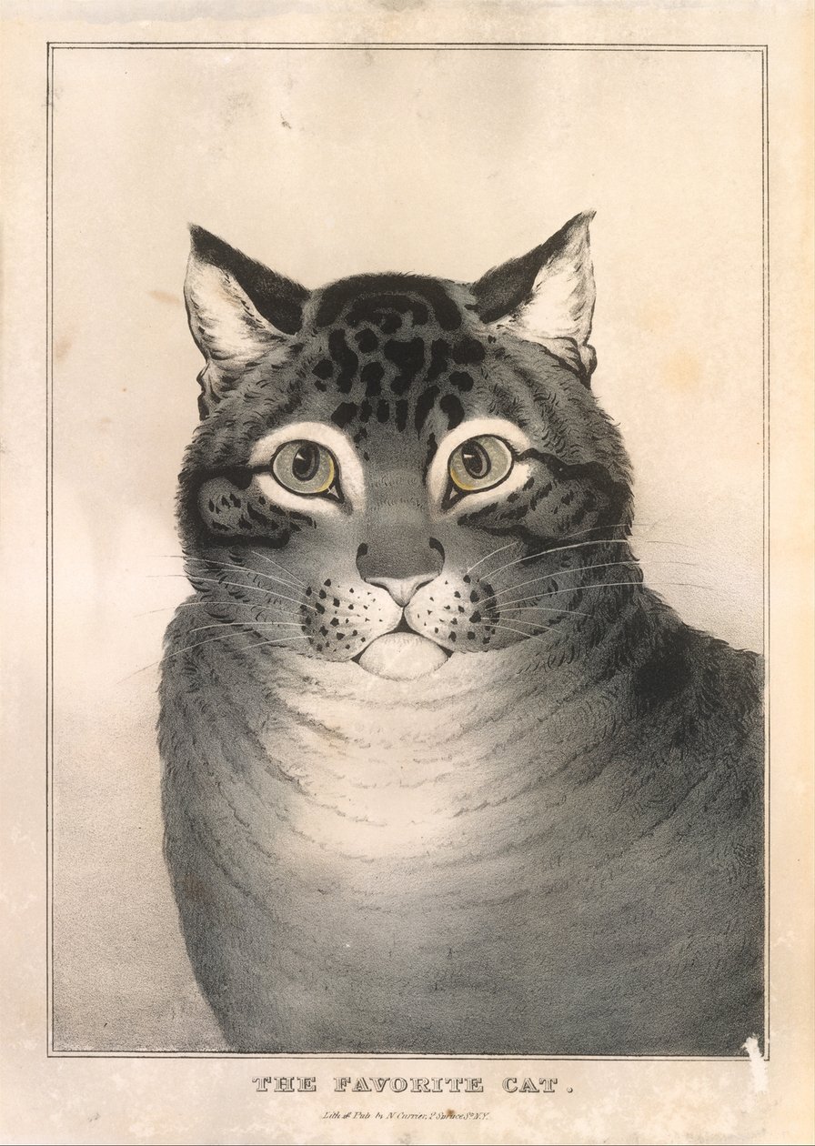Suosikkikissa, 1838-46, 1838-46. tekijältä Nathaniel Currier