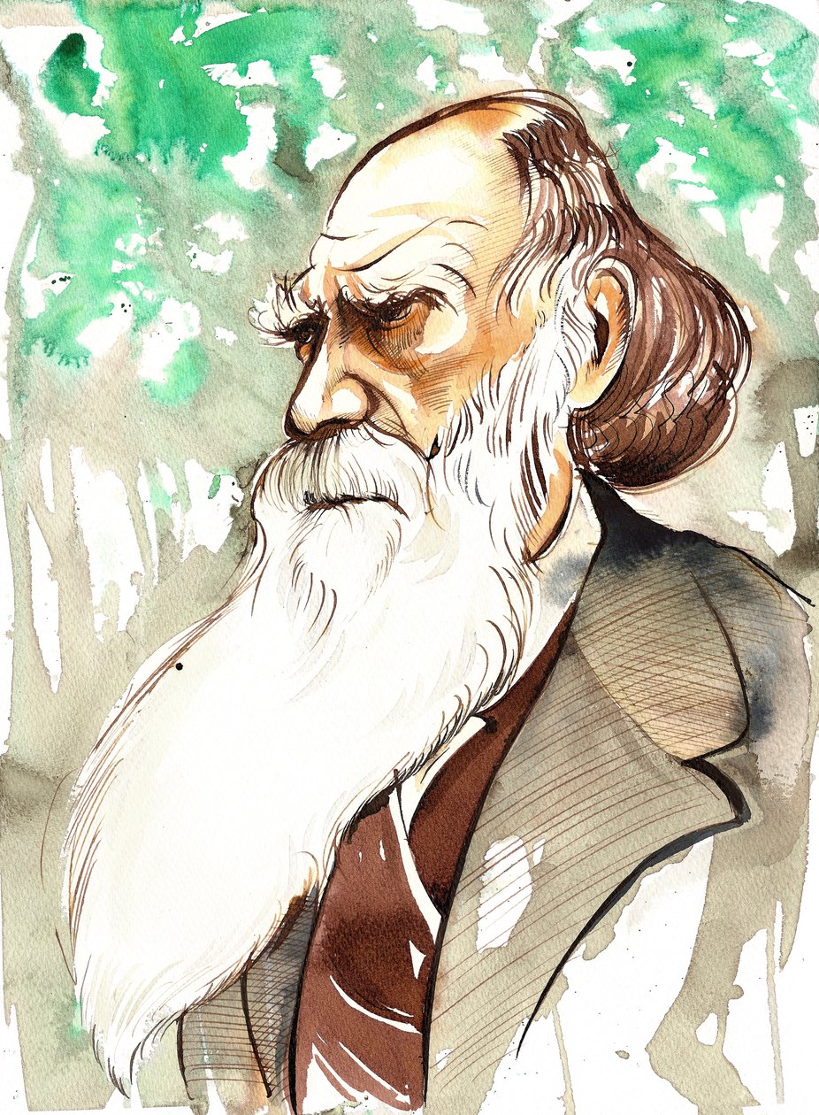 Charles Darwin (englannin luonnontieteilijä ja kirjailija, 1809-82) muotokuva tekijältä Neale Osborne