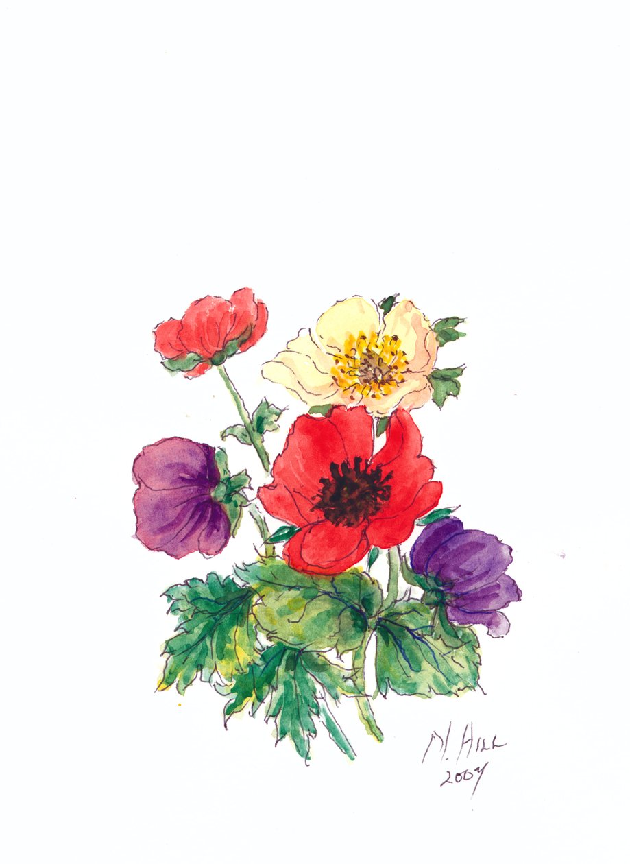 Anemones, 2007 (wc paperilla) tekijältä Nell Hill