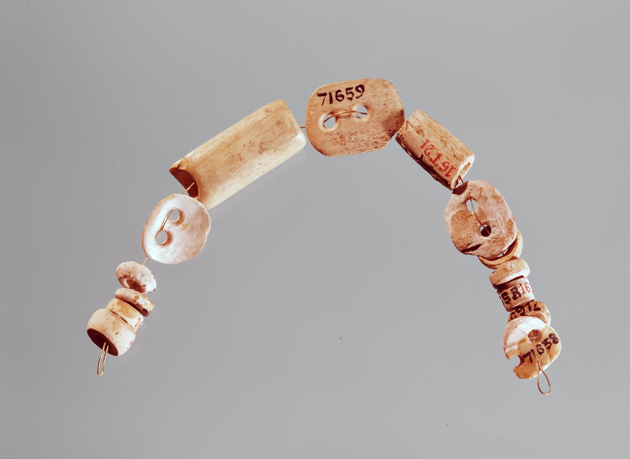 Kaulakoru tai rannekoru, Seine-Oise-Marne Culture, 2800-2000 eKr. (luu ja kalkkikivi) tekijältä Neolithic