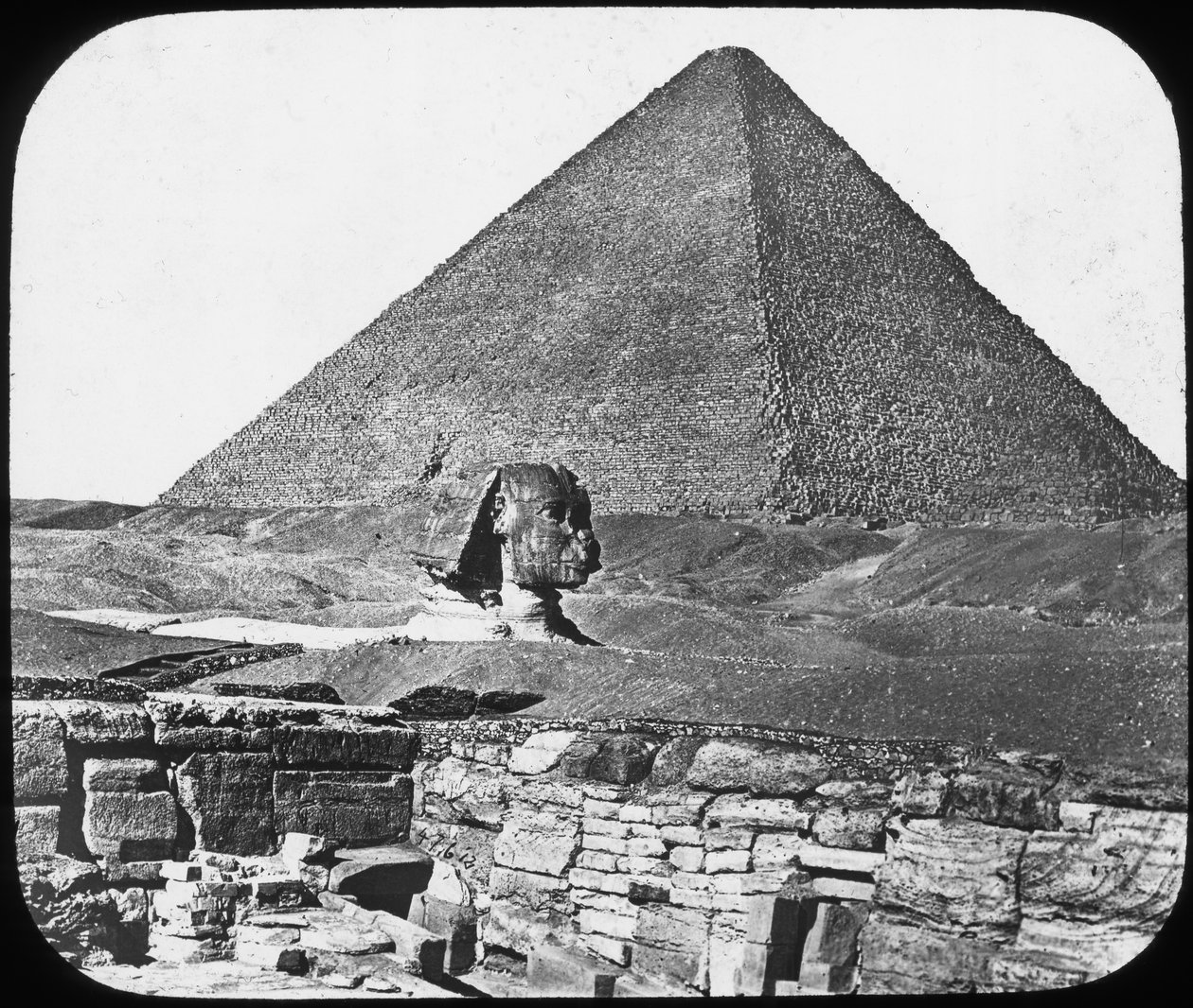Gizan suuri sfinksi, Egypti, 1890. tekijältä Newton and Co