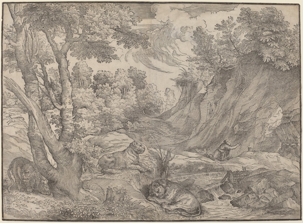 Pyhä Hieronymus erämaassa tekijältä Niccolò Boldrini after Titian