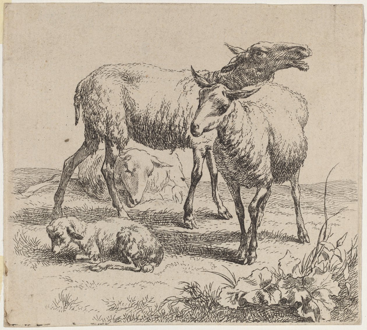 Kolme lammasta ja lammas. tekijältä Nicolaes Berchem