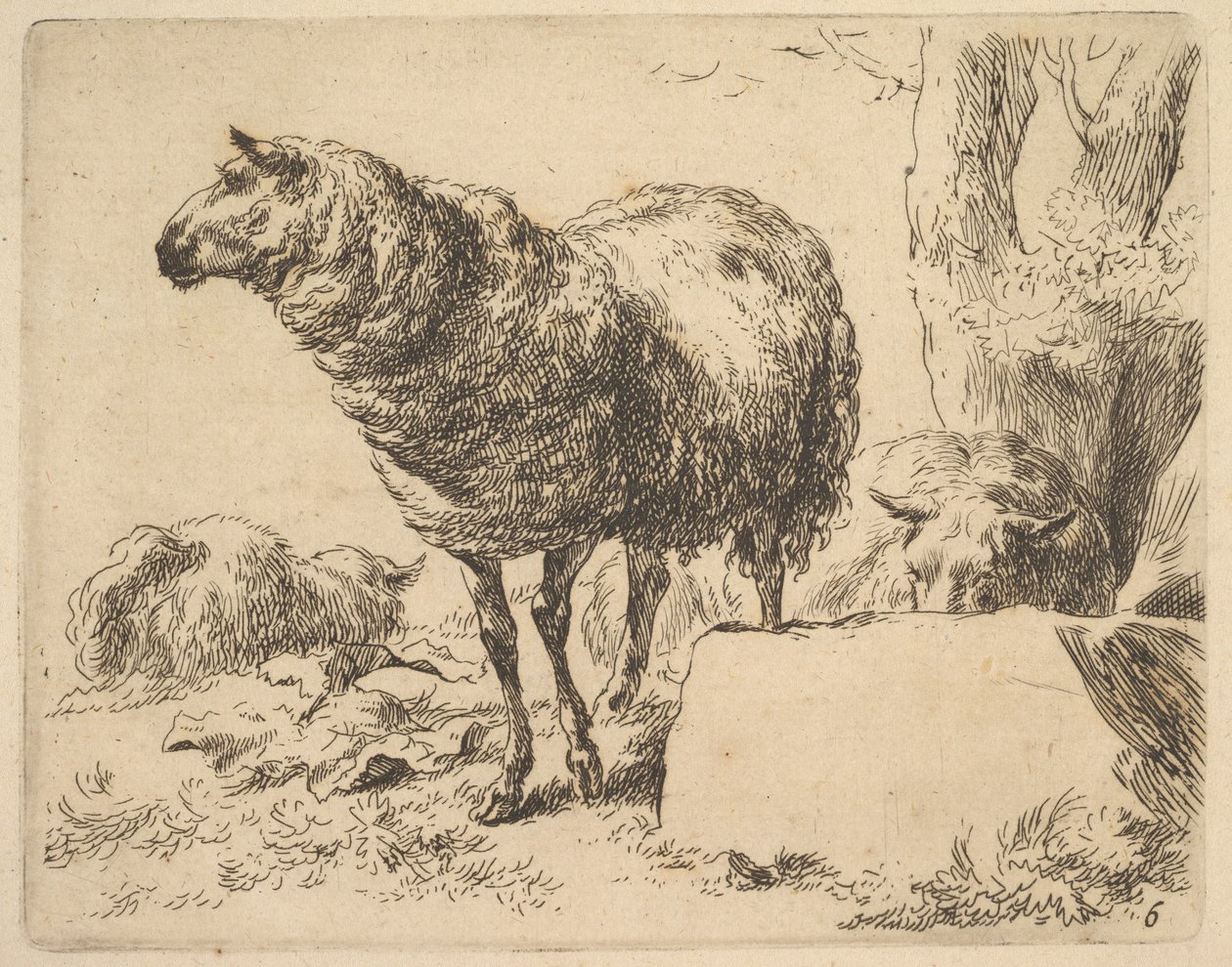 sarjasta The Set of Sheep. tekijältä Nicolaes Berchem