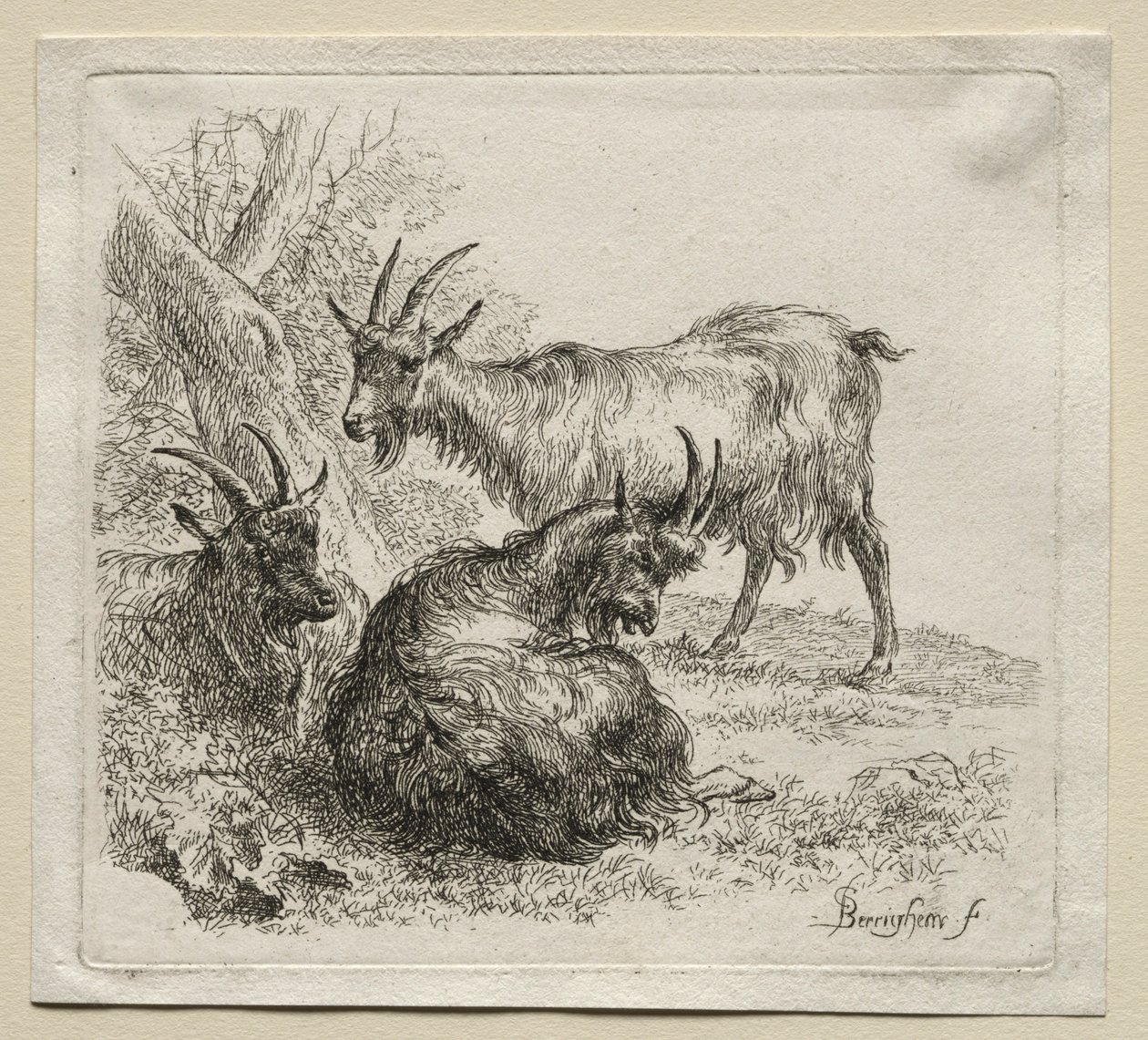 Kolme vuohetta. tekijältä Nicolaes Pietersz. Berchem