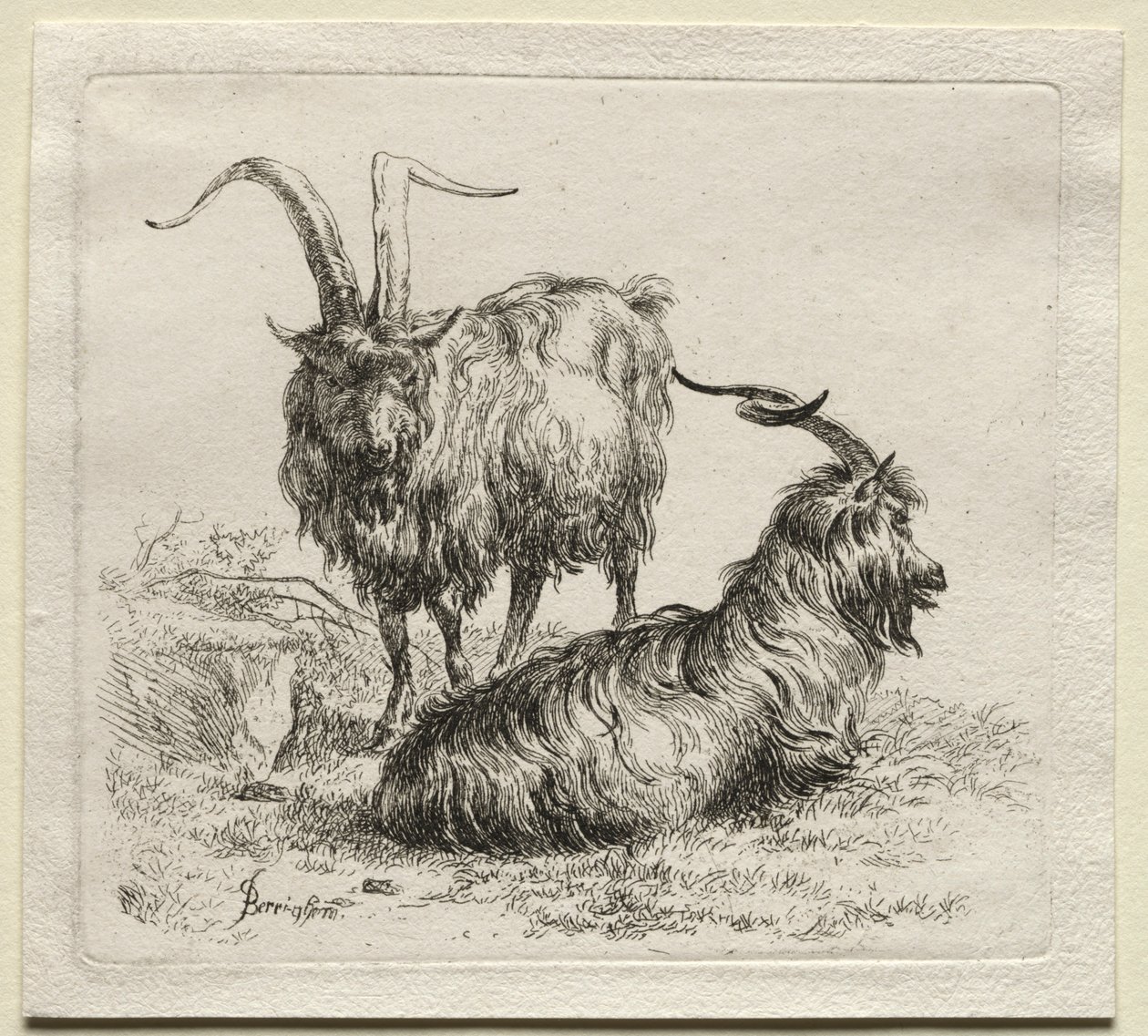 Kaksi vuohetta. tekijältä Nicolaes Pietersz. Berchem