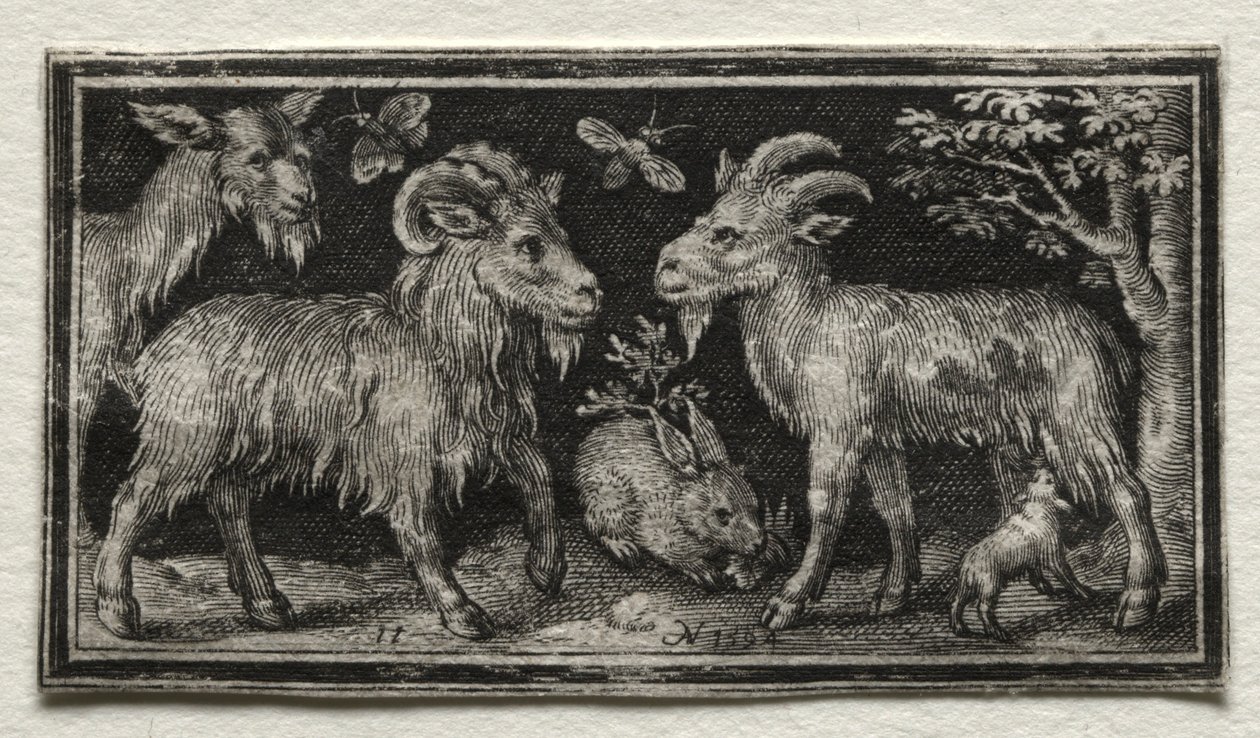 Vuohet ja jänis, 1594. tekijältä Nicolaes de Bruyn