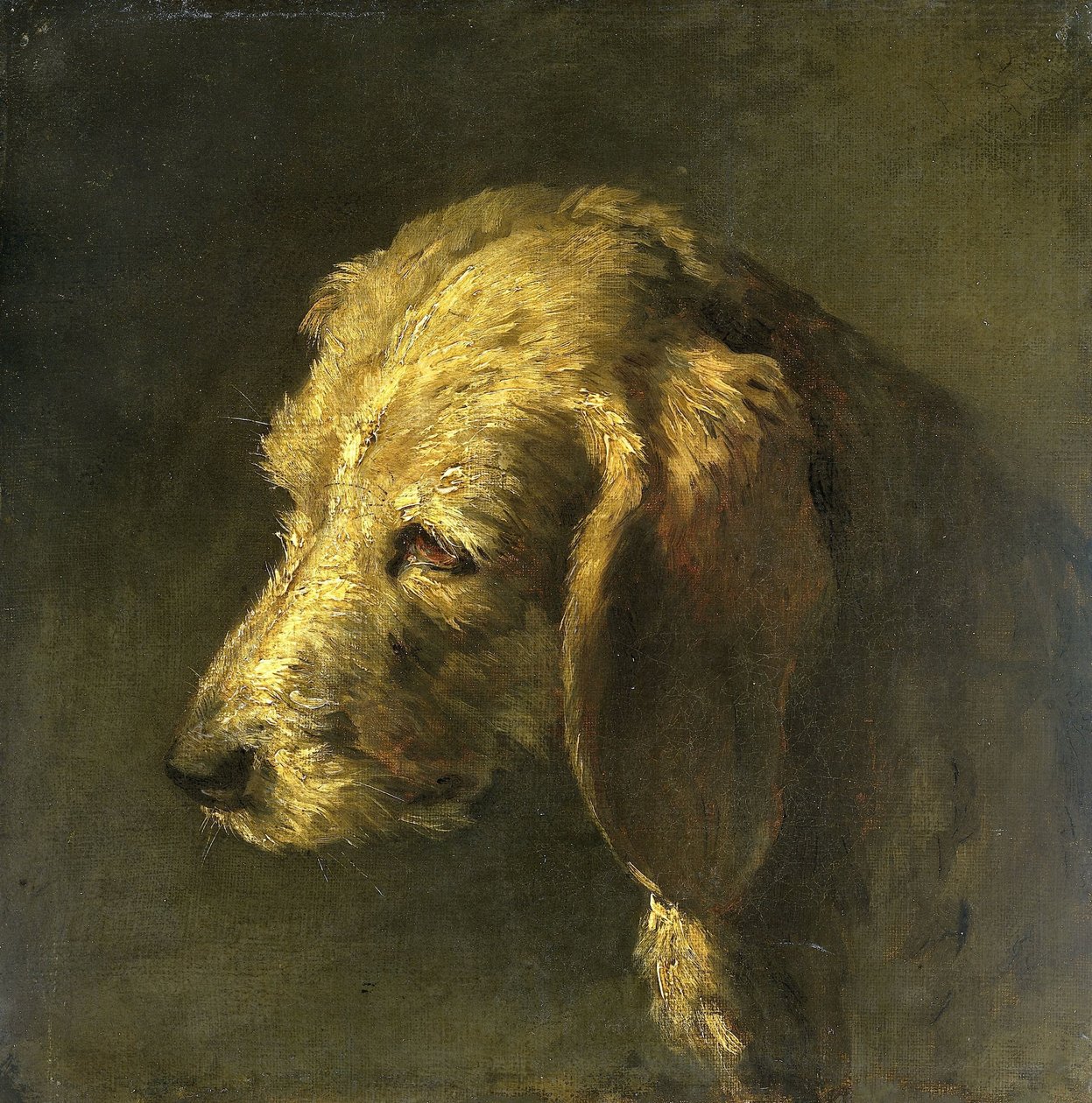 Koiran pää tekijältä Nicolas Toussaint Charlet (attributed to)