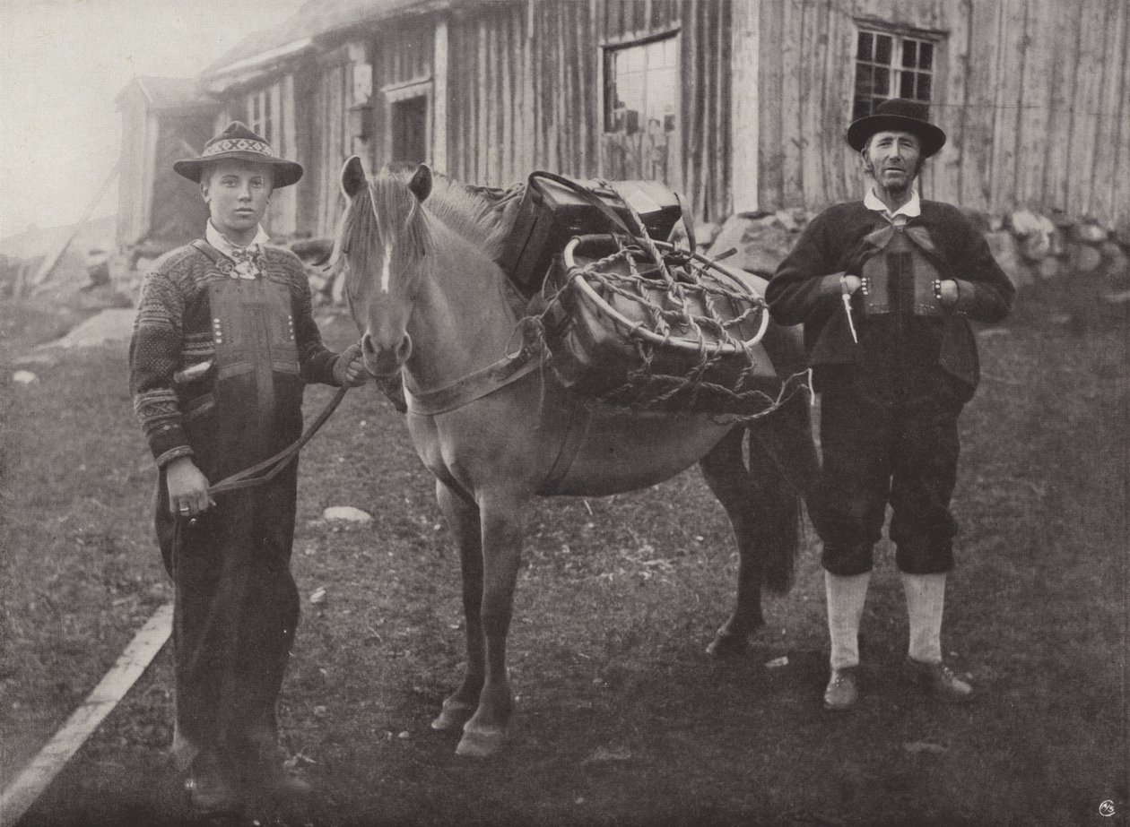 Saetersdalen Highlanders ja Pack-Horse tekijältä Norwegian Photographer