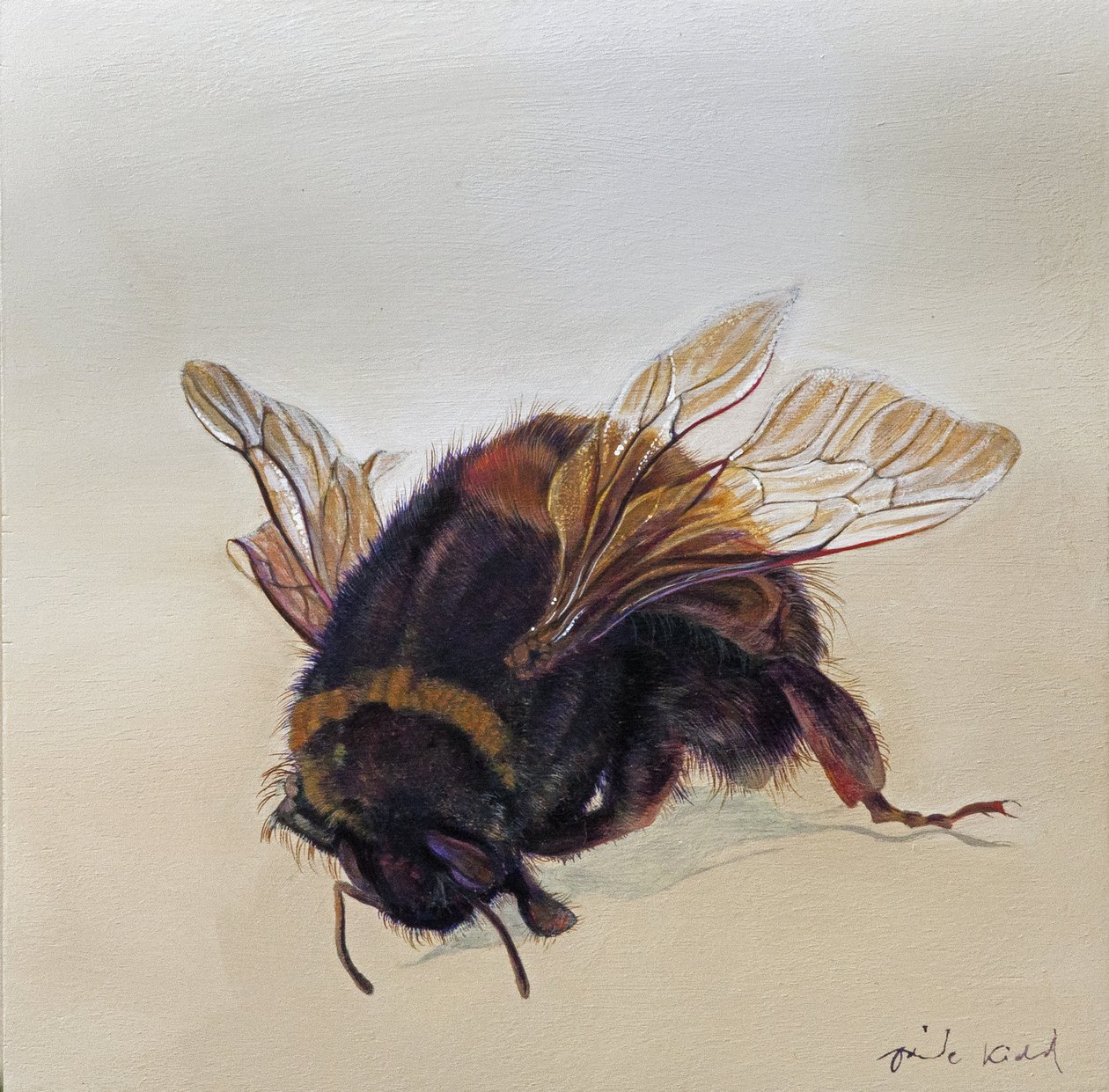 Bombus terrestris 10, 2013 (akryyli puulle) tekijältä Odile Kidd