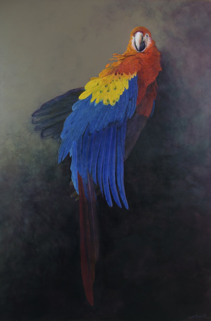 Tulipunainen papukaija 3, 2014 (akryyli pellavalle) tekijältä Odile Kidd