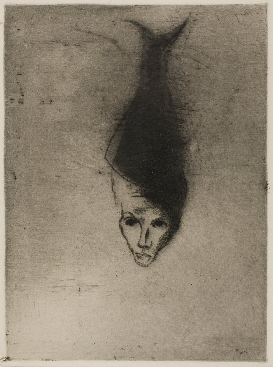 SciapodeSciapode tekijältä Odilon Redon