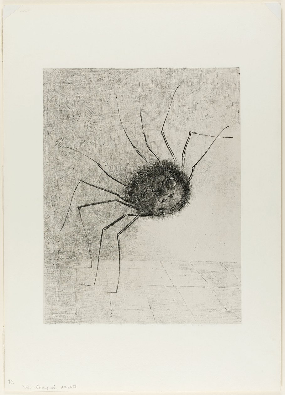 Hämähäkki tekijältä Odilon Redon