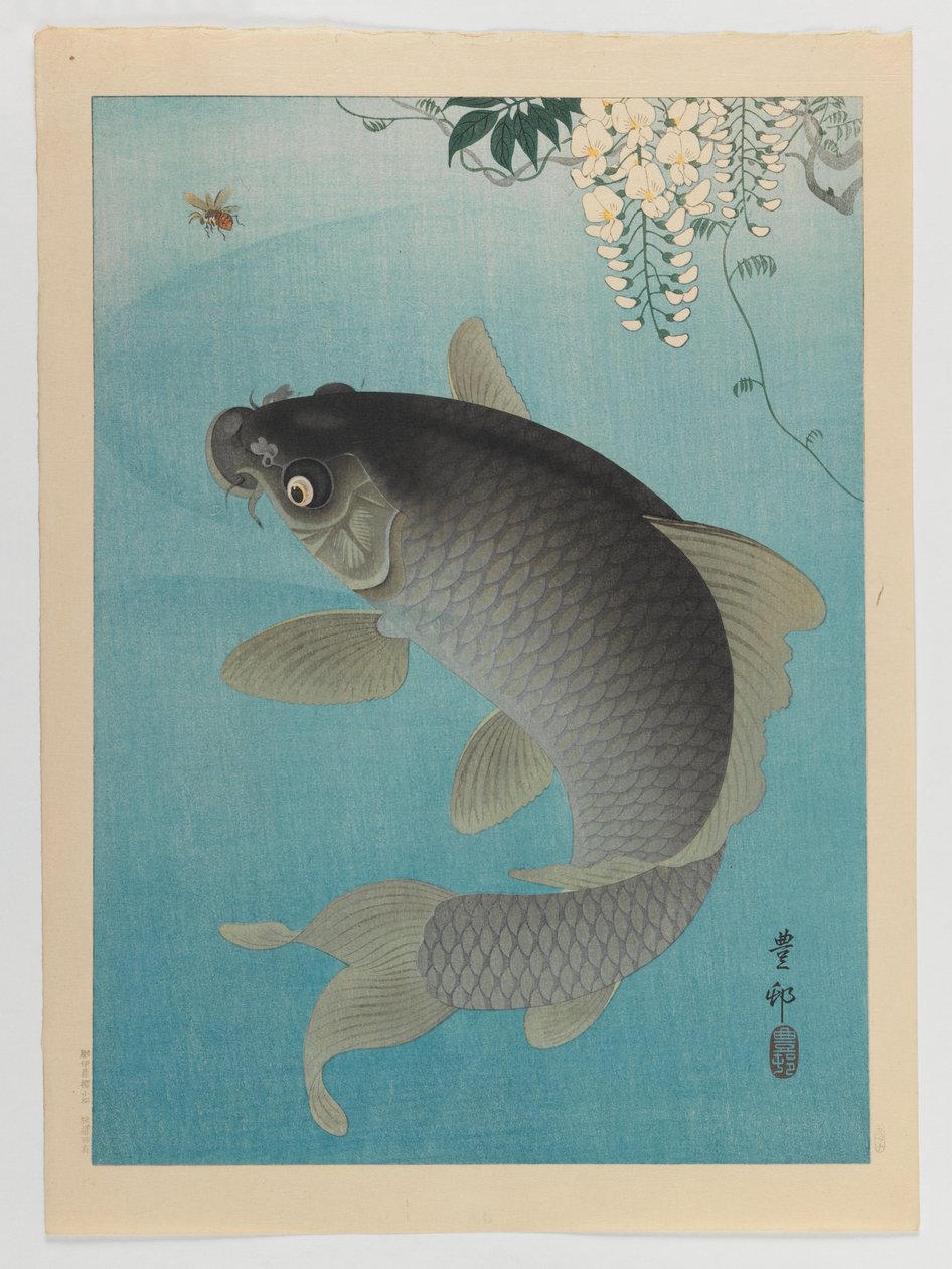 Carp Beneath Wisteria, n. 1935 (puupalikkaväripainatus) tekijältä Ohara Koson
