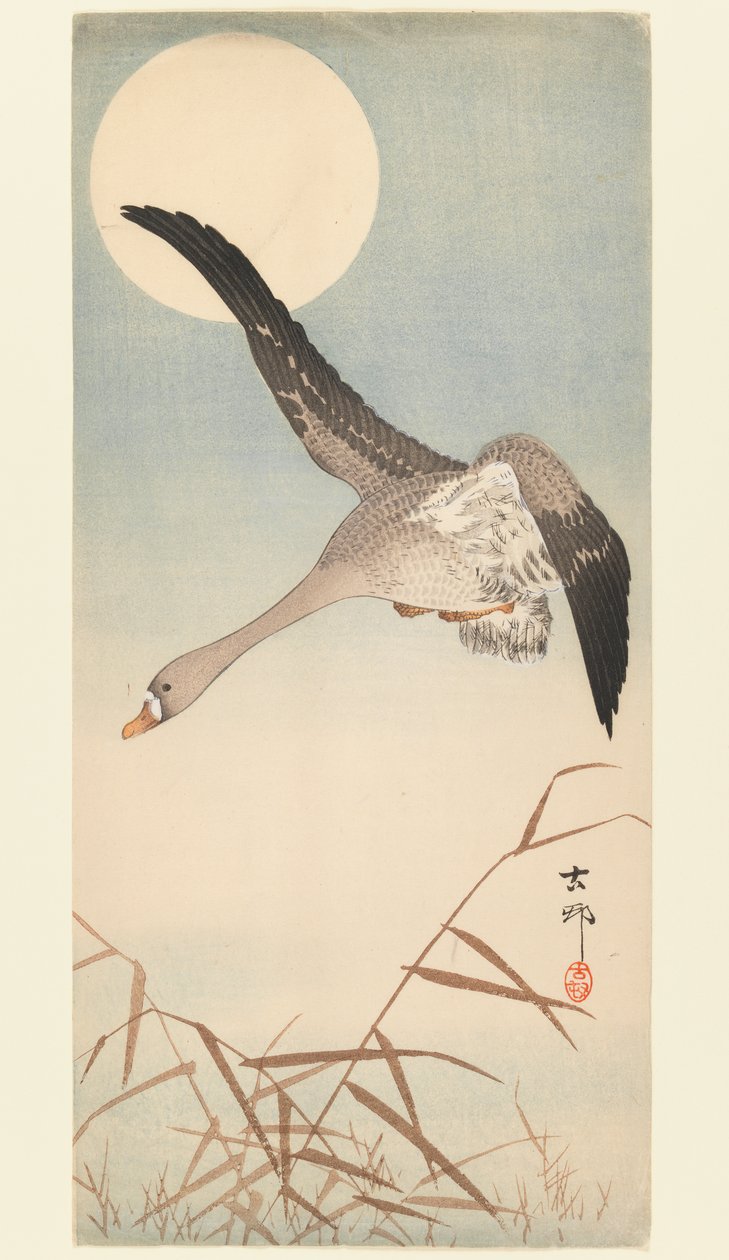 Goose Flying in Moonlight, n. 1910 (puukiviprintti) tekijältä Ohara Koson