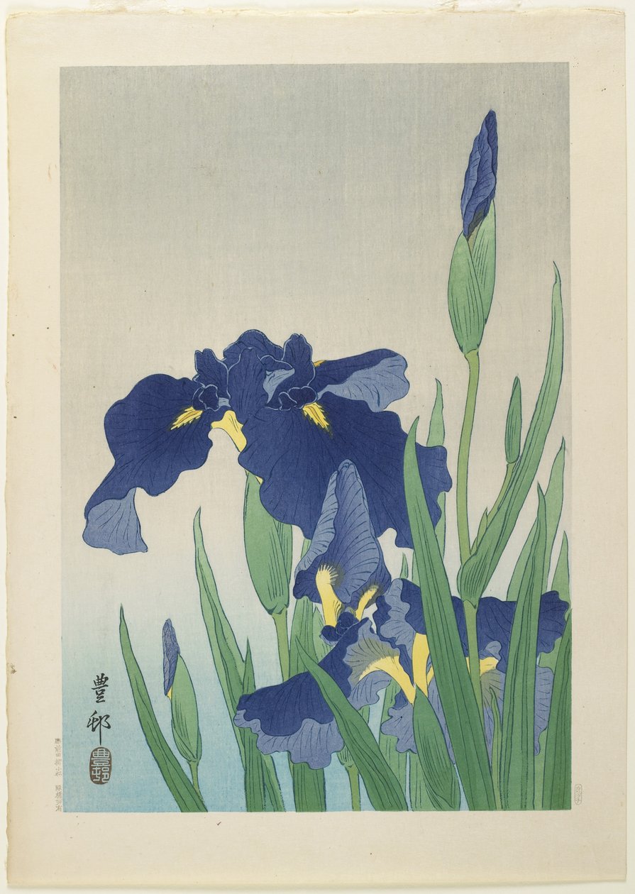 Iris, 1900-luvun puoliväli tekijältä Ohara Koson