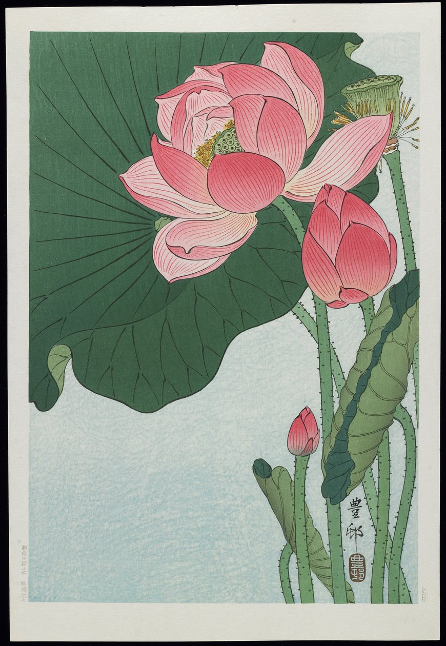 Lotus, 1930-luku tekijältä Ohara Koson