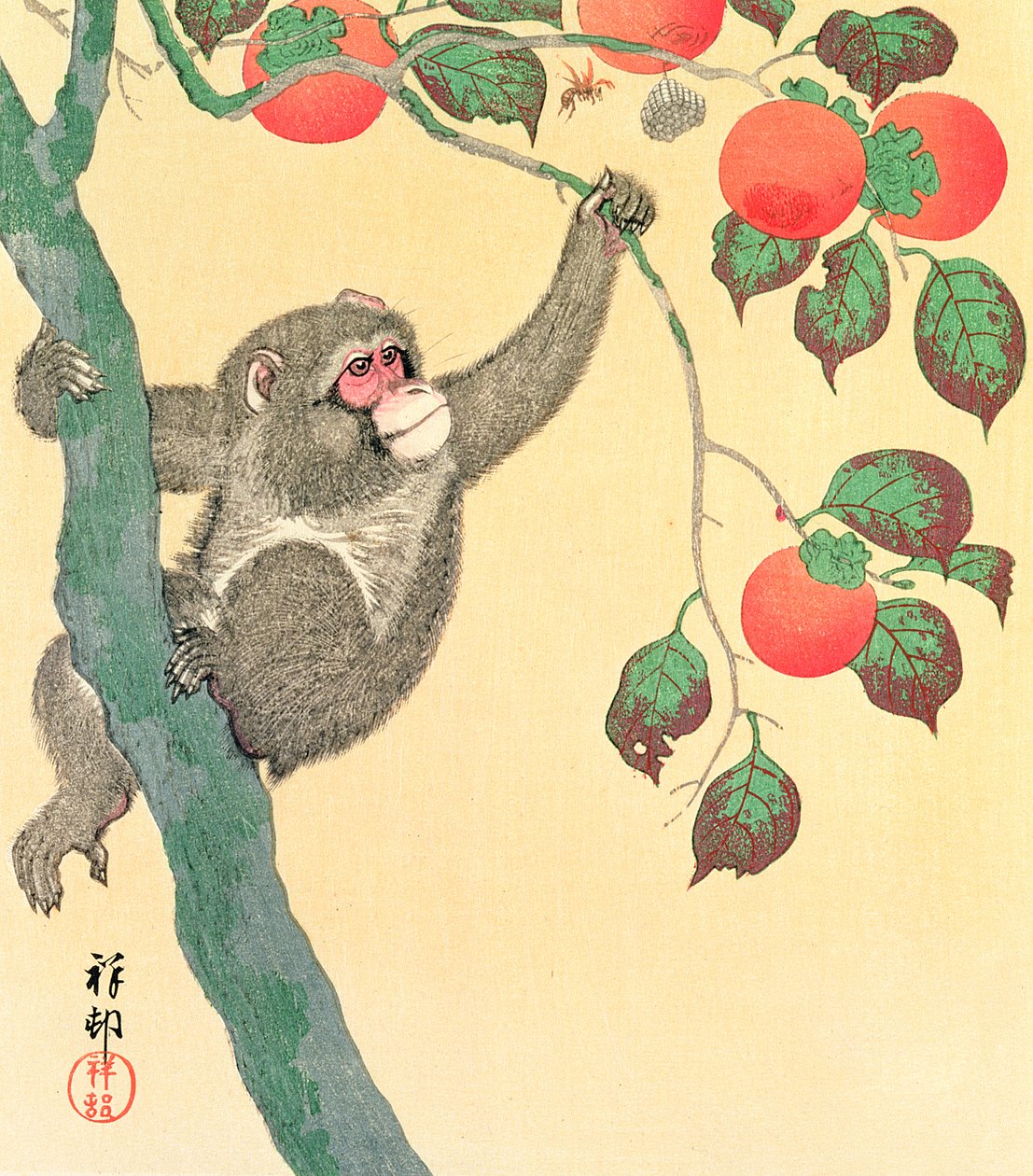 Apina kakipuussa, 1935 (puupalikkaväripainatus) tekijältä Ohara Koson